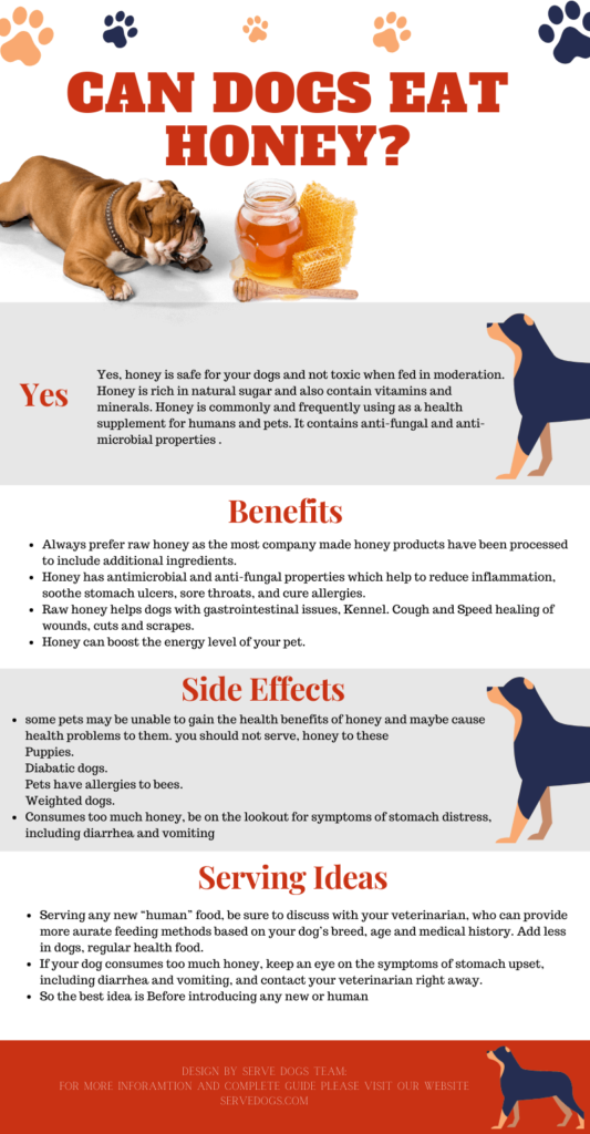 Can dogs eat Honey? Side Effects Vs Benefits Complete Guide
