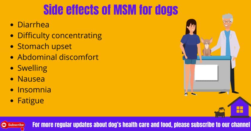 What Is MSM For Dogs Methylsulfonylmethane Complete Guide What Is MSM For Dogs Methylsulfonylmethane Complete Guide
