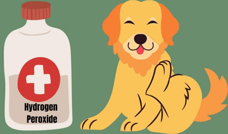 Safe Trazodone For Dogs Dosage Chart 50mg 300mg