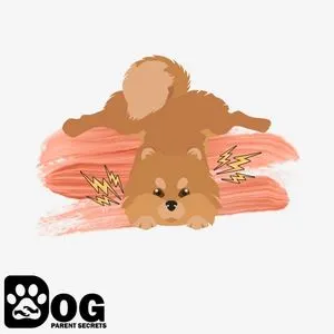 Pomeranians Can Misbehave When Left Home Alone