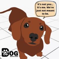 5 Reasons Why Dogs Can’t Get Sexually Attracted To Humans – Serve Dogs